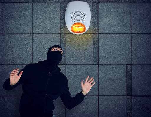 Hırsız Alarm Sistemleri
